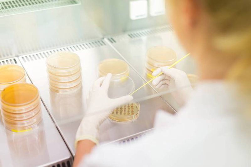 生物技术研发:引领未来医疗的新力量